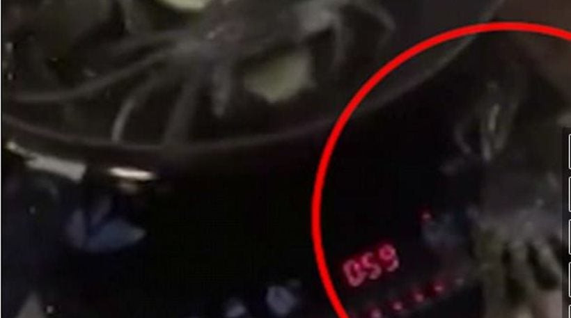 Απίστευτο βίντεο: Καβούρι πηδάει έξω από τηγάνι και σβήνει το μάτι για να σώσει τους φίλους του